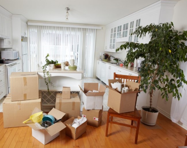 Local Shifting in Greater Noida